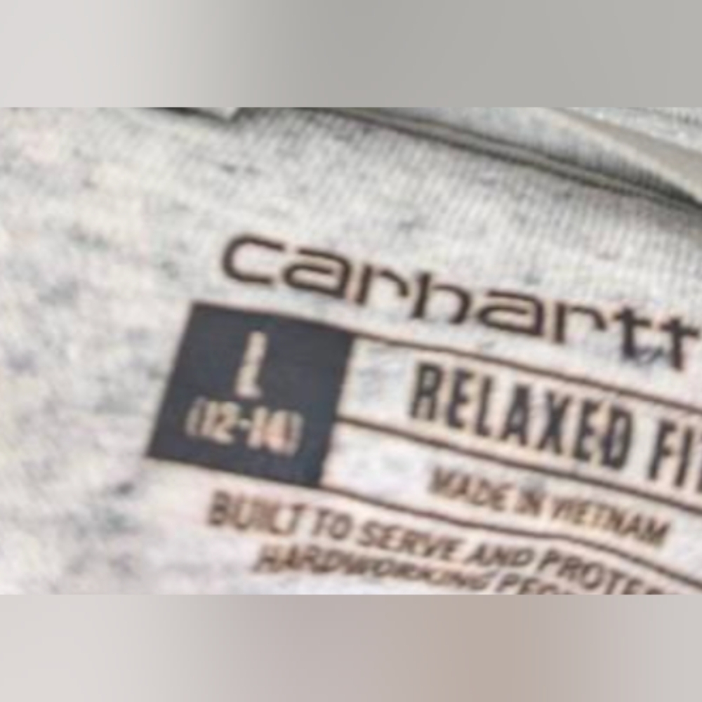 Carhartt Clarksburg Graphic Sleeve Hoodie Sweatshirt Size L MSRP $59.99 - Picture 3 of 9
